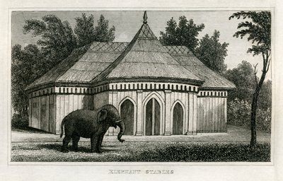 Regent's Park Zoo av Unbekannt