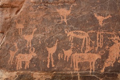 Bergkunst, forhistorie: Detalj av en gravering av et sett med strutser og storfe i Uweinat-massivet, Egypt (Periode fra 8000 til 3000 år f.Kr.). Fotografering av Unbekannt
