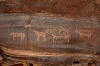 Bergkunst, forhistorie: Gravering av fire storfe i Uweinat-massivet, Sudan (Karkur-Talh eller Karkur Talh). Periode fra 8000 til 3000 år f.Kr. Fotografering av Unbekannt