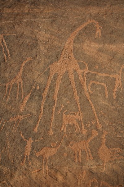 Bergkunst, forhistorie: Gravering av sjiraffer, strutser, sauer og karakterer i Uweinat-massivet, Sudan (Karkur-Talh eller Karkur Talh). Periode fra 8000 til 3000 år f.Kr. Fotografering av Unbekannt