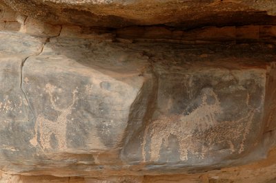Bergkunst, forhistorie: Gravering av tre storfe i Uweinat-massivet, Sudan (Karkur-Talh eller Karkur Talh). Periode fra 8000 til 3000 år f.Kr. Fotografering av Unbekannt
