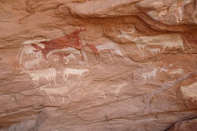 Bergkunst, forhistorie: Maleri av et sett med storfe i et utsmykket ly, i Uweinat-massivet, Sudan (Karkur-Talh eller Karkur Talh). Periode fra 8000 til 3000 år f.Kr. Fotografering av Unbekannt