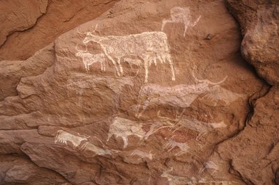 Bergkunst, forhistorie: Bergmaleri av en gruppe storfe i et utsmykket ly, i Uweinat-massivet, Sudan (Karkur-Talh eller Karkur Talh). Periode fra 8000 til 3000 år f.Kr. Fotografering av Unbekannt