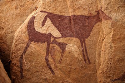 Bergkunst, forhistorie: Steinmaleri av en stor tofarget ku og dens kalv i et utsmykket ly, i Uweinat-massivet, Sudan. Periode fra 8000 til 3000 år f.Kr. Fotografering av Unbekannt