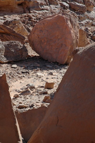 Bergkunst, forhistorie: Rund stein med sjiraffer og strutsegraveringer i Uweinat-massivet, Sudan. Periode fra 8000 til 3000 år f.Kr. Fotografering av Unbekannt