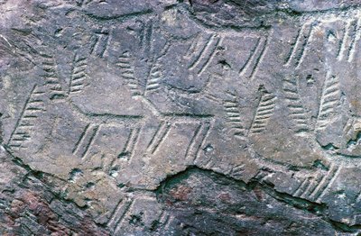Helleristninger i Massi di Cemmo nasjonale arkeologiske park, Val Camonica (Unescos verdensarvliste av William M. Timlin