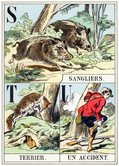 S T U : Sanglier, Terrier, Un accident - The Hunting Alphabet, ca. 1890 (gravering) av Unbekannt