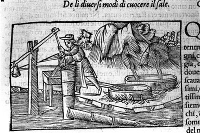 Saltproduksjon: matlaging. Gravering av Olaus Magnus (1490 - 1557), svensk religiøs og geograf, "History of the Northern Nation", Venezia av Unbekannt