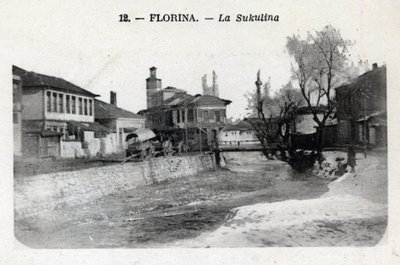 Serbia, Florina (dagens Hellas): utsikt over Sukulina - Postkort 1914-1918 av William M. Timlin