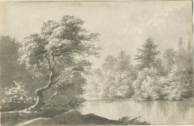 Shenstone - Pool nær Little Aston: sepia vask tegning, nd [19. århundre] av Unbekannt