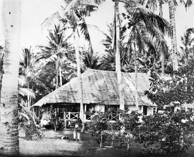Singapore: En privat bungalow omgitt av palmetrær. Singapore, c1875 av Unbekannt