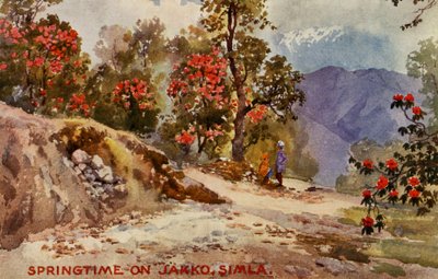 Våren er Jahko, Simla, India av Unbekannter Künstler