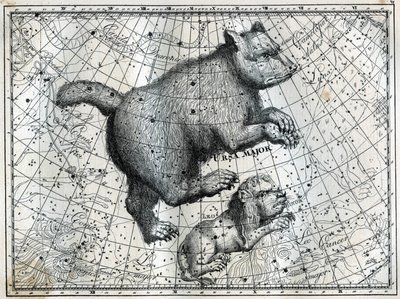 De boreale stjernebildene: den store bjørnen og den lille løven. Gravering fra Camille Flammarions "The Stars and Other Curiosities of the Sky" av Unbekannt