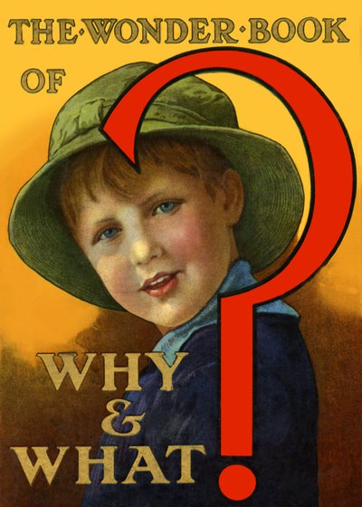 Wonder Book om hvorfor og hva av Unbekannt
