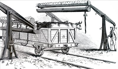 Apparatet for vanning av storfe under transport. av Unbekannt