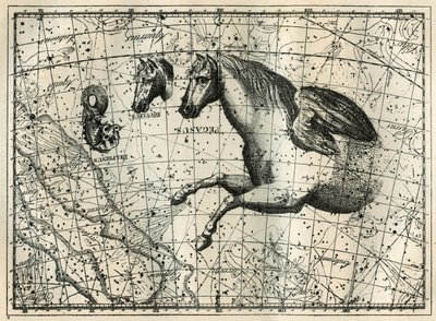 Konstellasjonen Pegase, tegner som anterieure-halvdelen av en hest med et par vinger, den lille hesten, et hestehode og delfinen. Gravering fra «Les étoiles et les autres curiosites du ciel» av Camille Flammarion av Unbekannt