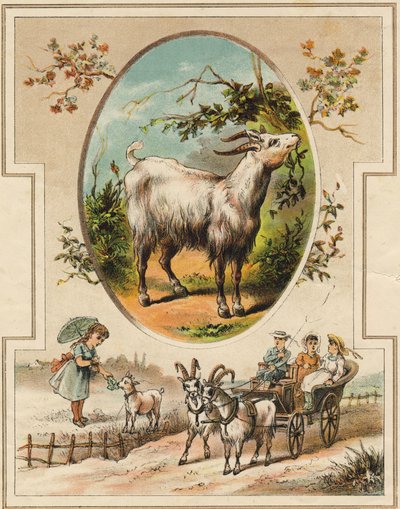 Bukken. Gravering i "Mon premier Grand Alphabet". Bernardin-Bechet Edition, Paris, ca 1890. Illustrasjoner av A. des Lilleuls. Ingen side, 46 sider. Mål: 31x22 cm. av Unbekannt