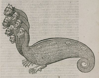 Hydraen av Unbekannt