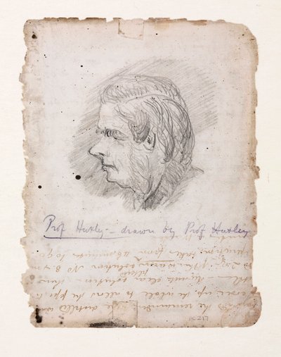 Thomas Henry Huxley , engelsk biolog, midten av slutten av 1800-tallet av Unbekannt