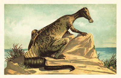 Trachodon mirabilis, utdødd hadrosaurad dinosaur.1908 (litografi) av Unbekannter Künstler