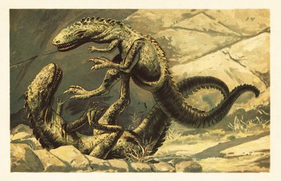 To kjempende Dryptosaurus aquilunguis.1908 (litografi) av Unbekannter Künstler