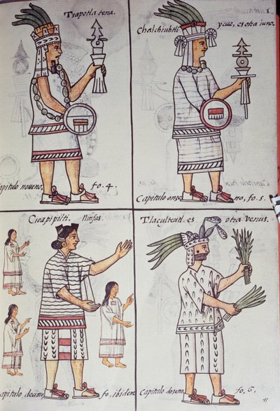 Tzapotlatena, Chalchiuhtlatonal, Cioapipitli og Tliltecuhtli, Florentine Codex, Tospråklig versjon på spansk og Nahuatl, Generell historie om tingene i New Spain, Aztec av William M. Timlin