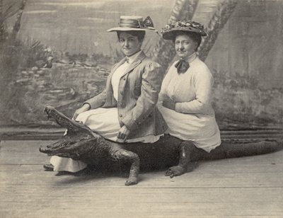 Kvinner sitter på en utstoppet alligator, ca. 1905 (s/hvitt-bilde) av Unbekannter Künstler
