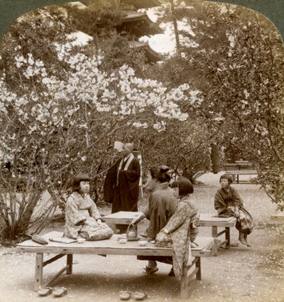 En familie som nyter en piknik under kirsebærblomstene, Omuro Gosho, Kyoto, Japan, 1904. av Underwood and Underwood