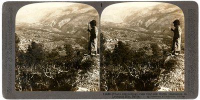 En silkeormplantasje i Libanon-fjellene, Syria, 1900-tallet. av Underwood and Underwood