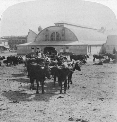 Bygning der krigsfanger ble prøvd, Pretoria, Sør-Afrika, Boer War, 1901 av Underwood and Underwood