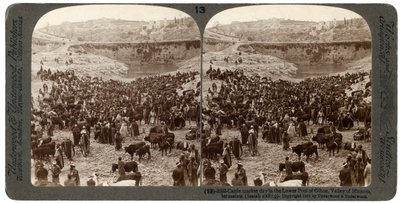 Storfemarkedsdag, i det nedre bassenget i Gihon, Hinnom-dalen, Jerusalem, Palestina, 1900. av Underwood and Underwood