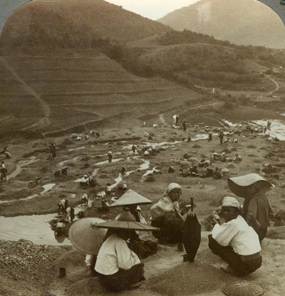 Mudring av et elveleie for rubiner, Mogok, Burma, ca. 1900-tallet. av Underwood and Underwood