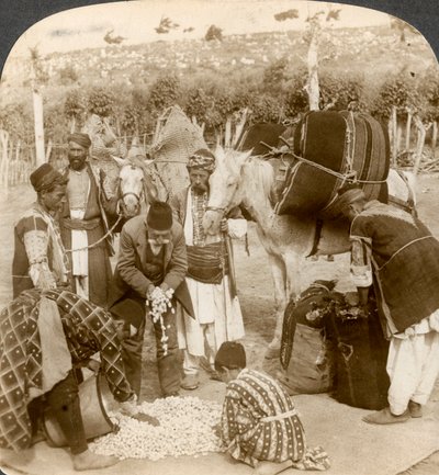Eksperter som kjøper silkekokonger for eksport til Frankrike, Antiokia, Syria, 1900-tallet. av Underwood and Underwood