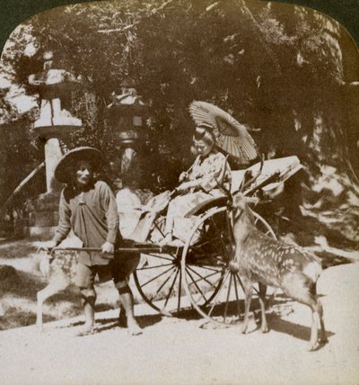 Jente mater hellig hjort på vei til bønner, eiendommen til Kasuga-tempelet, Nara, Japan, 1904 av Underwood and Underwood