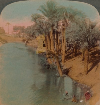 I Fayum, den rikeste oasen i Egypt ved Bahr Yussef-elven Joseph, til Nilen, 1902. Kunstnere: Elmer Underwood, Bert Elias Underwood. av Underwood and Underwood