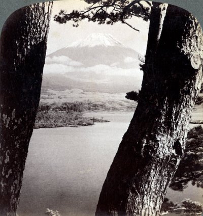 Fuji-fjellet, sett fra nordvest, gjennom furu ved Motosu-sjøen, Japan, 1904 av Underwood and Underwood