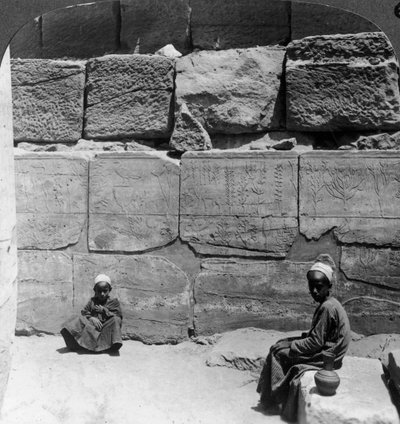 Planter og dyr hentet fra Syria av faraoene, tempelet i Karnak, Egypt, 1905. av Underwood and Underwood