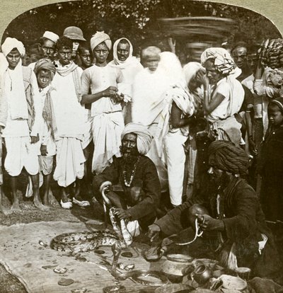 Slangejarmer, Calcutta, India, ca 1900-tallet. av Underwood and Underwood