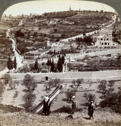 Getsemane-hagen og Oljeberget, Palestina, 1908. av Underwood and Underwood