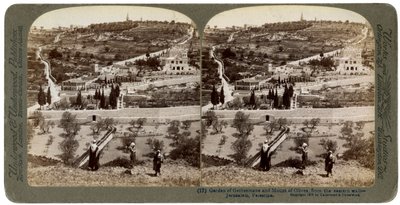 Getsemane-hagen og Oljeberget, Palestina, 1908. av Underwood and Underwood
