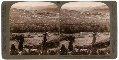 Samariahøyden, fra sør, omgitt av fiken- og olivenlunder, Palestina, 1900. av Underwood and Underwood