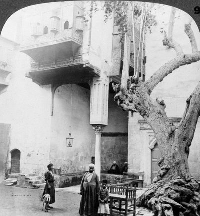 Haremsvinduene i retten til et velstående hus i Cairenes, Kairo, Egypt, 1905. av Underwood and Underwood