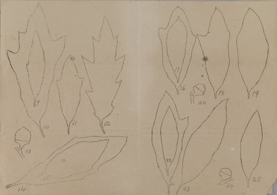  av Unidentified