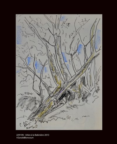 22915N - Tree a Babiniere-2013 av Unknown