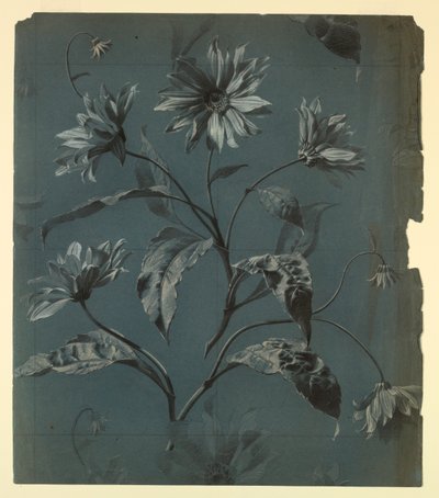 Design for tapet eller tekstil av tusenfryd-type blomst med Repeat av Unknown