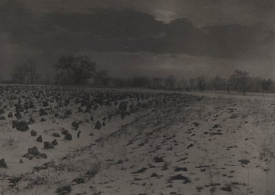 Åker med kål under snø av Unknown