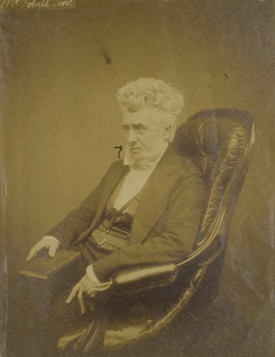 Mr. Dobell av Unknown
