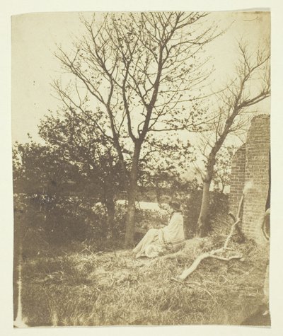 Mrs. Craik sitter utendørs av Unknown