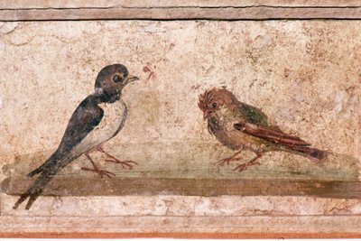 Swallow and Sparrow, romersk veggmaleri fra Boscoreale nær Pompeii, 1. århundre av Unknown