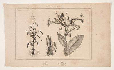 Uten tittel (Study of American Agriculture) av Unknown